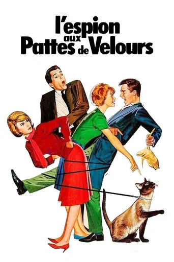 Regarder L'Espion aux pattes de velours en streaming complet