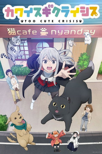 Regarder Too Cute Crisis en streaming complet